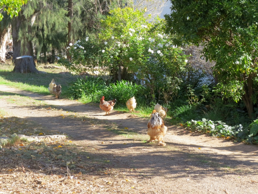 3 Bedroom Property for Sale in Montagu Rural Western Cape